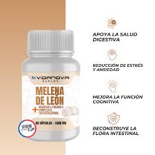 VIDANOVA Melena de León Fortificada – Apoyo Cognitivo y Energía Mental 🧠🧠