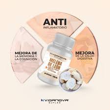 VIDANOVA Melena de León Fortificada – Apoyo Cognitivo y Energía Mental 🧠🧠