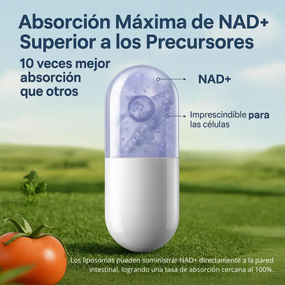 🔬✨ Vidanova Suples Nad+ Resveratrol 1000mg | Antioxidante y Antiedad Natural 💊💥