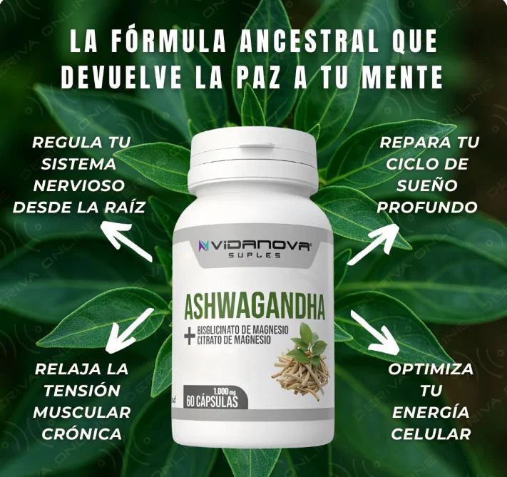 😴 Ashwagandha + Magnesio Vida Nova 💚 Descanso Profundo, Energía Renovada y Calma Natural 🌱