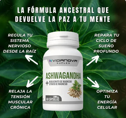 😴 Ashwagandha + Magnesio Vida Nova 💚 Descanso Profundo, Energía Renovada y Calma Natural 🌱